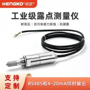 工業(yè)溫濕度露點(diǎn)記錄儀_恒歌 ±1%RH高精度天然氣管道工業(yè)露點(diǎn)儀